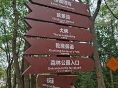 -苏州上方山国家森林公园