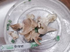 -老季苏州藏书羊肉馆