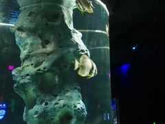 -福州罗源湾海洋世界旅游区