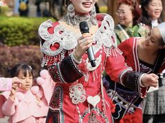 -云南民族村