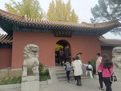 -戏马台景区