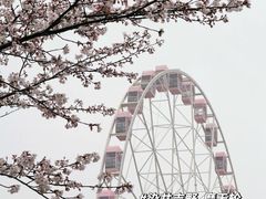 -上海外滩雅致酒店