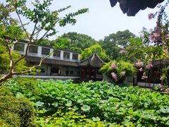 -上海醉白池公园