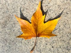 -重庆中央公园(渝北区)