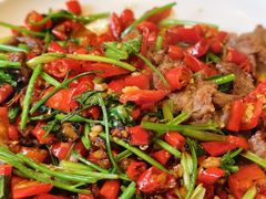 -张烤鸭·川菜·非遗冒烤鸭(青石桥店)