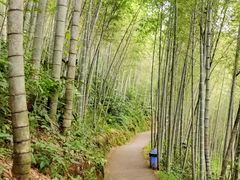 -千泷沟大瀑布旅游区