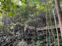 -南宁良凤江国家森林公园