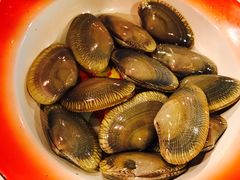 -鲜入围煮花胶鸡海鲜火锅