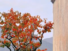 -篁岭景区