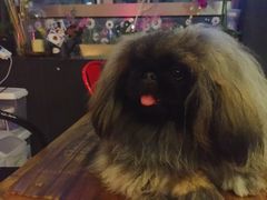 -M-3 PUB(创智天地店)