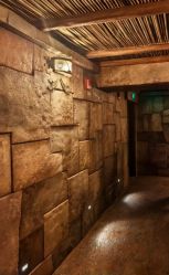 -翱翔飞越地平线