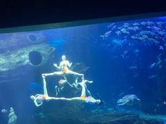 -多彩贵州城极地海洋世界