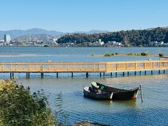 -洱海月湿地公园