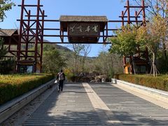 -黄金寨原生态旅游区