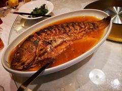 黄河大鲤鱼-商都酒店( 北京南站店)