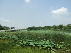-东湖落雁景区