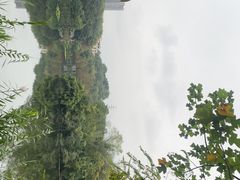 -重庆彩云湖湿地公园