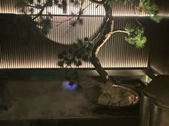 -大拙里·精致融合菜(沙湖桃源国际店)