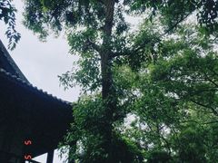 -王家渡火锅(三苏祠店)