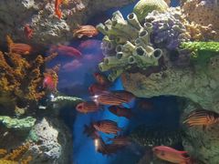 -福州罗源湾海洋世界旅游区