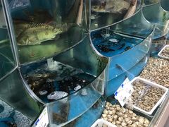 水产区-果蔬好生活超市(双井店)