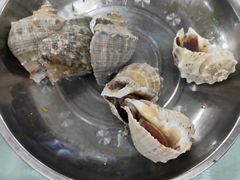 -四海蒸鲜蒸汽海鲜自助(北戴河店)