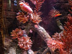 -沈阳海洋探索中心