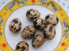 -康陵正德春饼宴26号
