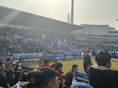 -泰达足球场