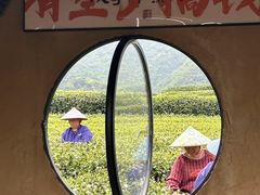 -龙坞茶村