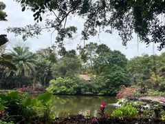 -海南热带野生动植物园