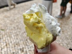 -柠檬车露(卖草地店)