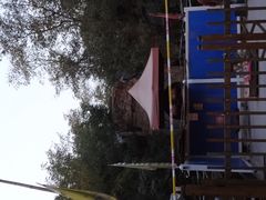 -木塔寺遗址生态公园