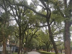 -桂林独秀峰王城景区