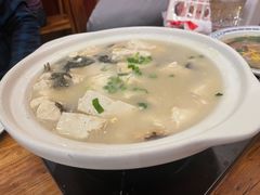 栾川芝麻叶豆腐-老雒阳面馆·水席·洛阳菜(王城路店)