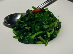 清炒豆苗-三利音·玖弄小鲜(浦东嘉里城店)