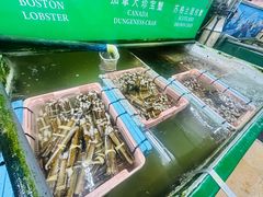 -無招牌海鮮(芽笼店)