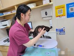 -芭比堂动物医院·CT·微创中心(新顺分院)