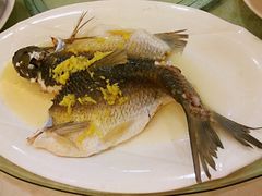 油盐蒸纤体鲩-喜悦海鲜大酒楼(钱柜广场店)