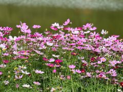 -神光山国家森林公园