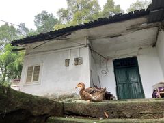 -南山植物园