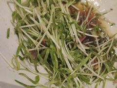 -高老庄新家宴(北斗星广场店)