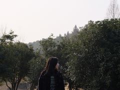 -滆湖低碳生态公园
