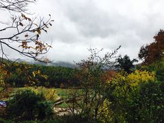 -塔川景区