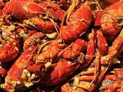 -馋嘴猫北京食堂·烤鸭·宵夜(亚运村店)