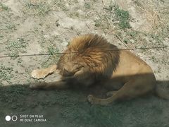 -新疆天山野生动物园