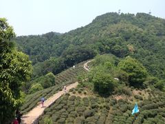 -西湖风景区十里琅珰-五云山
