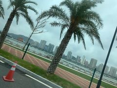 -珠海怡景湾大酒店