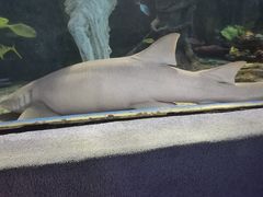 -太平洋海底世界