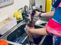 -Summer House夏莫手工坊团建活动(世博源店)